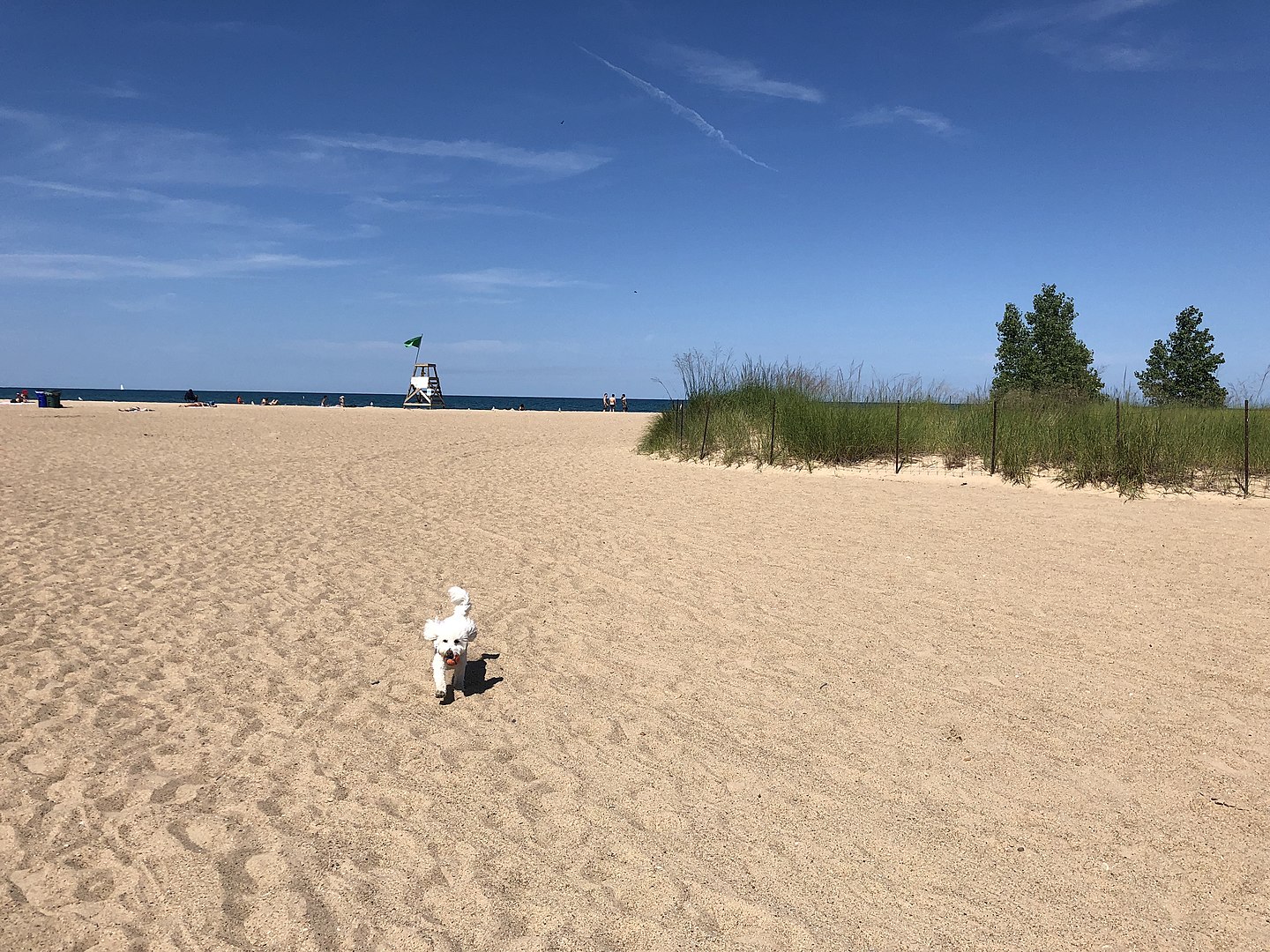 Rogers Park Chicago