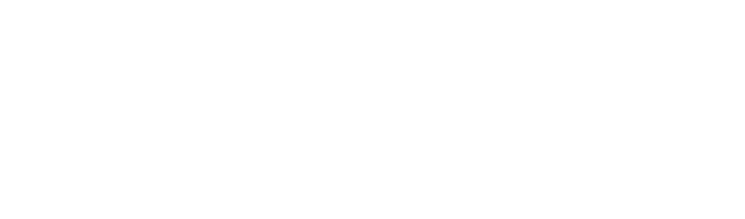 Doge meme shiba inu dog in suit.